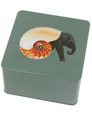 SQUARE TIN BOX SHELLEPHANT