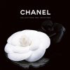 Chanel book cover with a white camellia on a black background and the title 'CHANEL COLLECTIONS AND CREATIONS.'