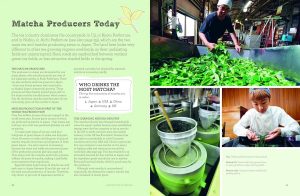 Magazine spread about matcha production: left column with green text and illustrations, right column features photos of a worker with tea leaves and green processing vessels.