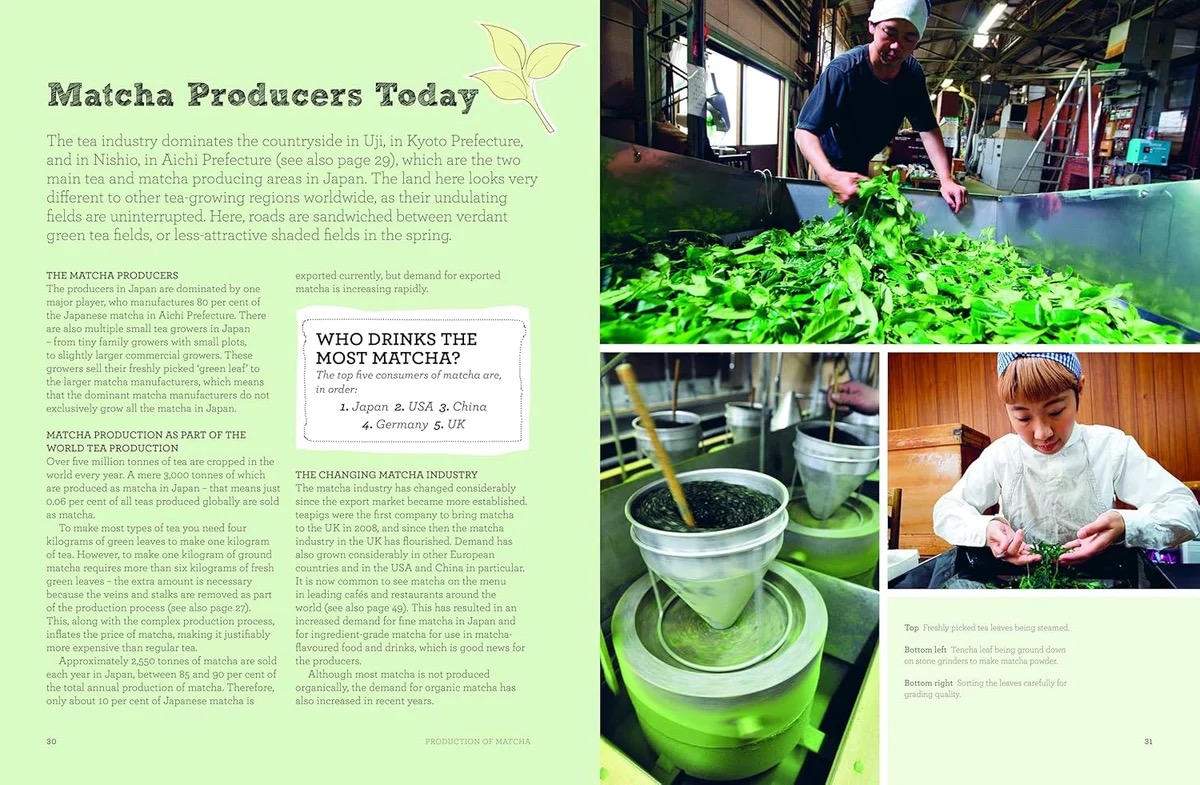 Image 73 - New Trend Magazine spread about matcha production: left column with green text and illustrations, right column features photos of a worker with tea leaves and green processing vessels.